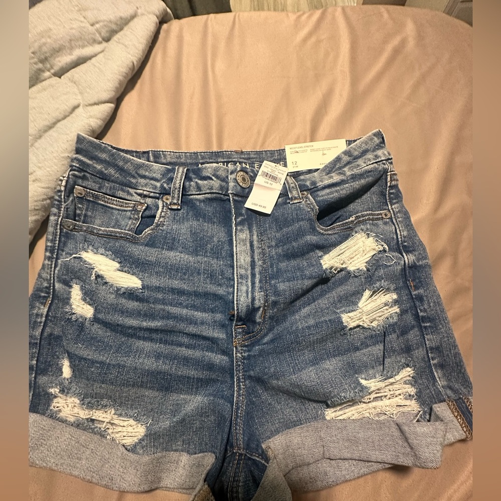 American Eagle Outfitters Ripped Blue Jean Shorts